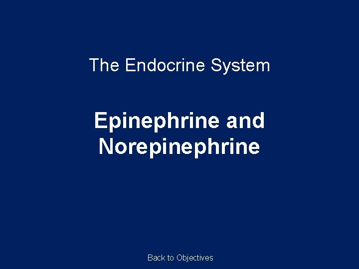 The Endocrine System Epinephrine and Norepinephrine Back to Objectives 