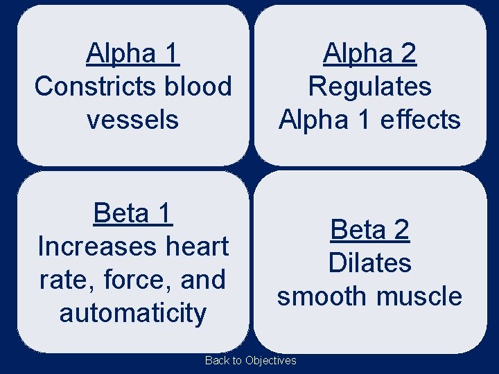 Alpha 1 Constricts blood vessels Alpha 2 Regulates Alpha 1 effects Beta 1 Increases