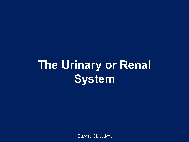 The Urinary or Renal System Back to Objectives 