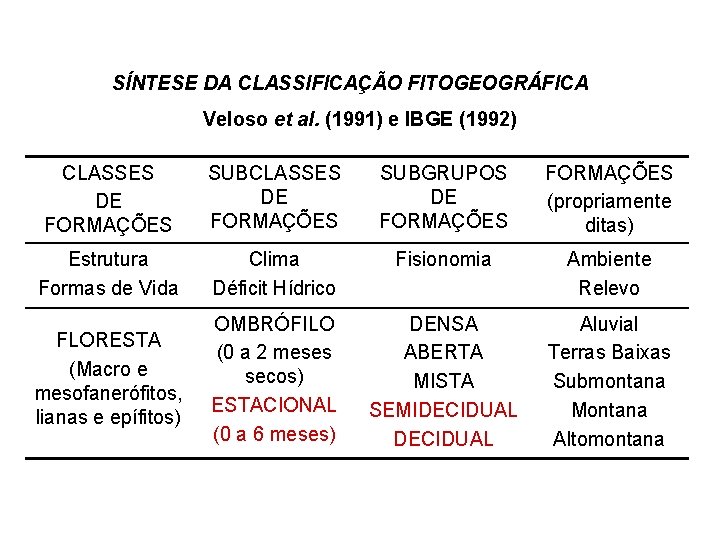 SÍNTESE DA CLASSIFICAÇÃO FITOGEOGRÁFICA Veloso et al. (1991) e IBGE (1992) CLASSES DE FORMAÇÕES