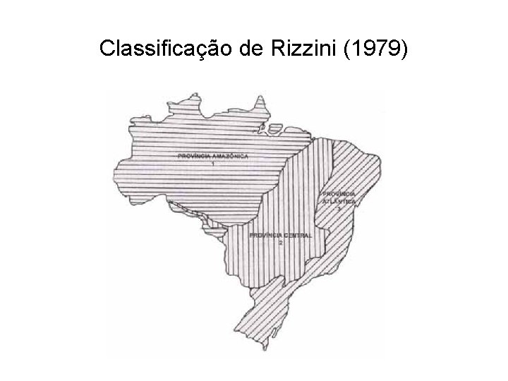 Classificação de Rizzini (1979) 
