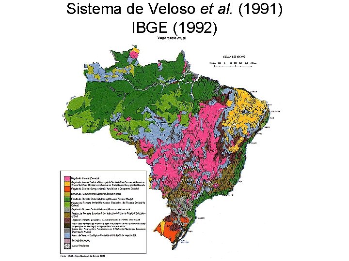 Sistema de Veloso et al. (1991) IBGE (1992) 