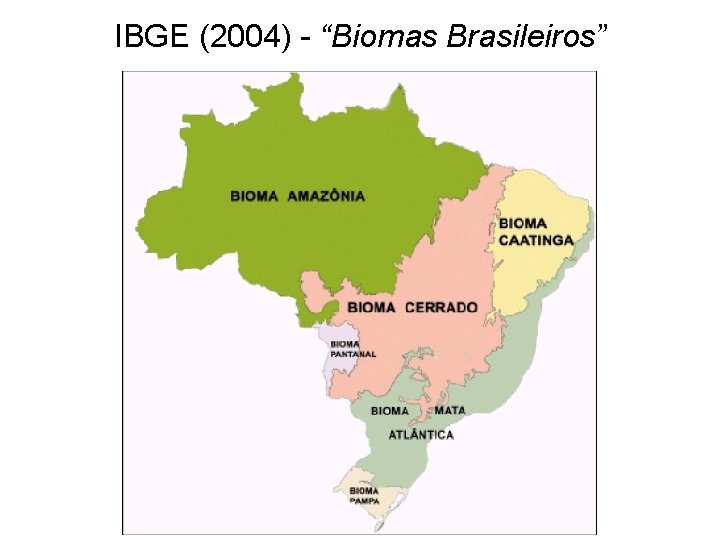 IBGE (2004) - “Biomas Brasileiros” 