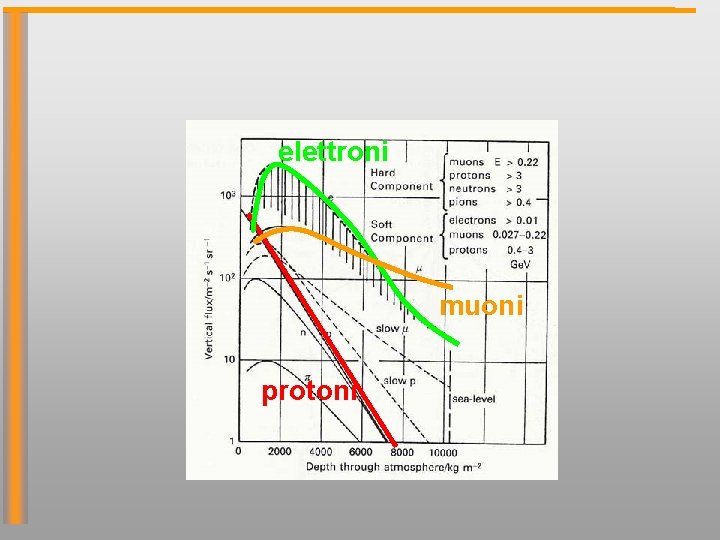 elettroni muoni protoni 