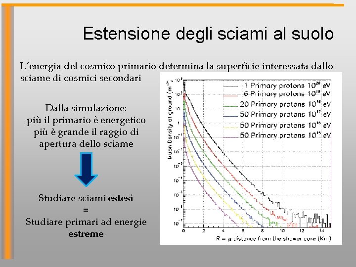 Estensione degli sciami al suolo L’energia del cosmico primario determina la superficie interessata dallo