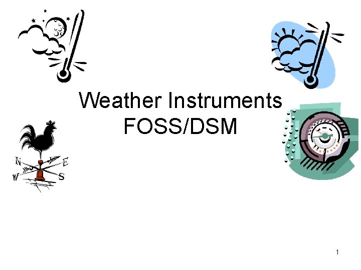 Weather Instruments FOSS/DSM 1 