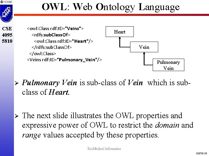 OWL: Web Ontology Language <owl: Class rdf: ID="Veins"> <rdfs: sub. Class. Of> <owl: Class