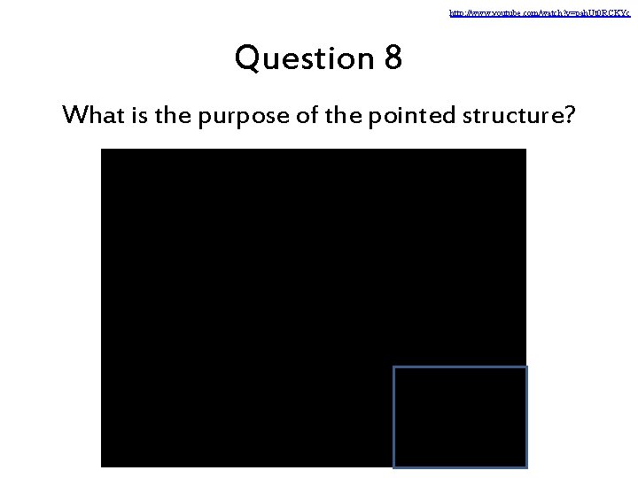 http: //www. youtube. com/watch? v=pah. Ut 0 RCKYc Question 8 What is the purpose