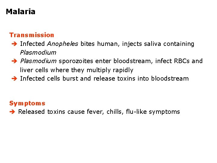 Malaria Transmission Infected Anopheles bites human, injects saliva containing Plasmodium sporozoites enter bloodstream, infect