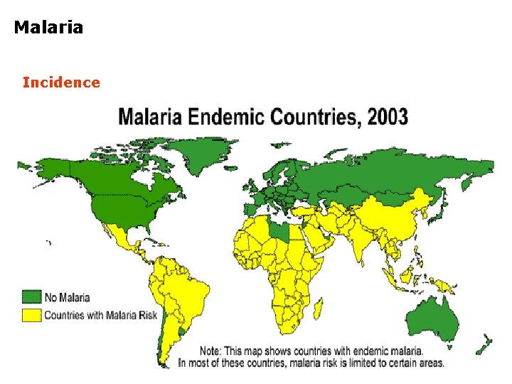 Malaria Incidence 