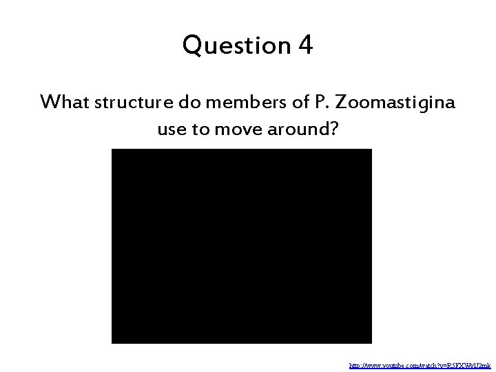 Question 4 What structure do members of P. Zoomastigina use to move around? http: