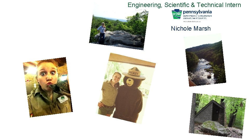 Engineering, Scientific & Technical Intern Nichole Marsh 