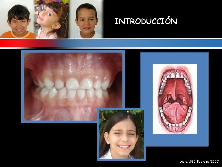 INTRODUCCIÓN Mata 1995; Pedroza (2000) 