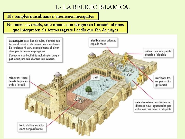 1. - LA RELIGIÓ ISLÀMICA. Els temples musulmans s’anomenen mesquites No tenen sacerdots, sinó