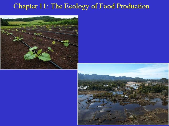 Chapter 11 The Ecology of Food Production Can