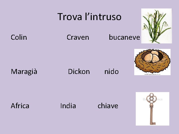 Trova l’intruso Colin Craven bucaneve Maragià Dickon nido Africa India chiave 
