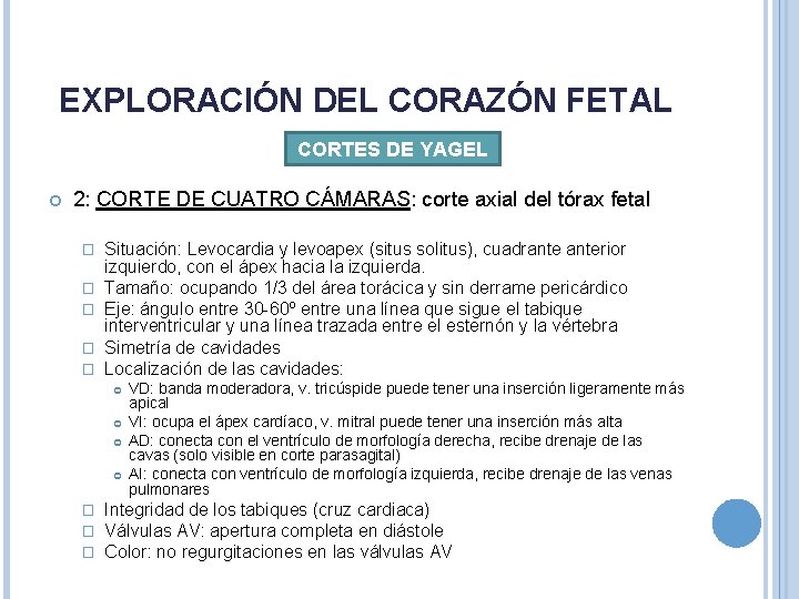 EXPLORACIÓN DEL CORAZÓN FETAL CORTES DE YAGEL 2: CORTE DE CUATRO CÁMARAS: corte axial EXPLORACIÓN DEL CORAZÓN FETAL CORTES DE YAGEL 2: CORTE DE CUATRO CÁMARAS: corte axial