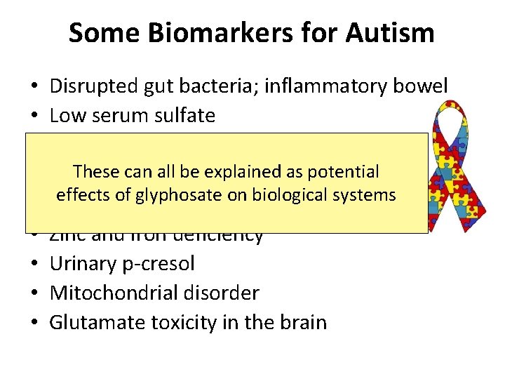 Some Biomarkers for Autism • • • Disrupted gut bacteria; inflammatory bowel Low serum