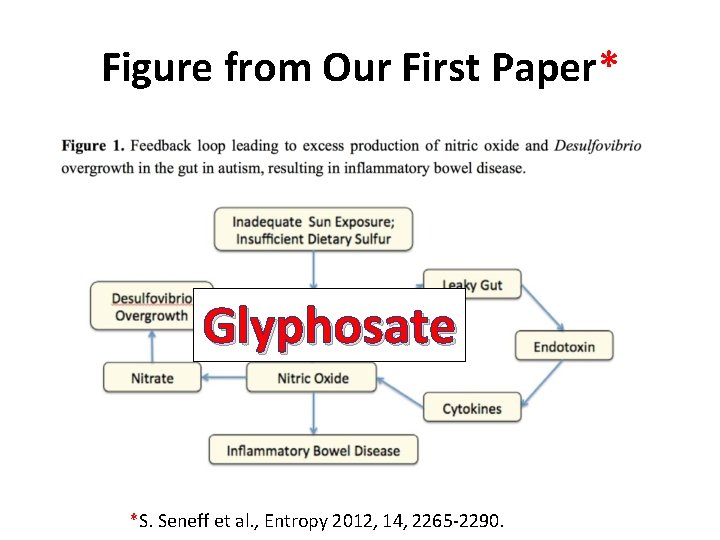 Figure from Our First Paper* Glyphosate *S. Seneff et al. , Entropy 2012, 14,