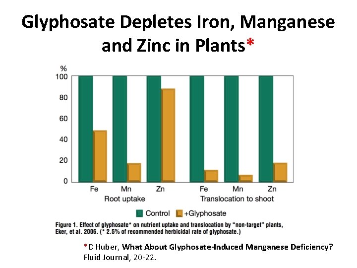 Glyphosate Depletes Iron, Manganese and Zinc in Plants* *D Huber, What About Glyphosate-Induced Manganese