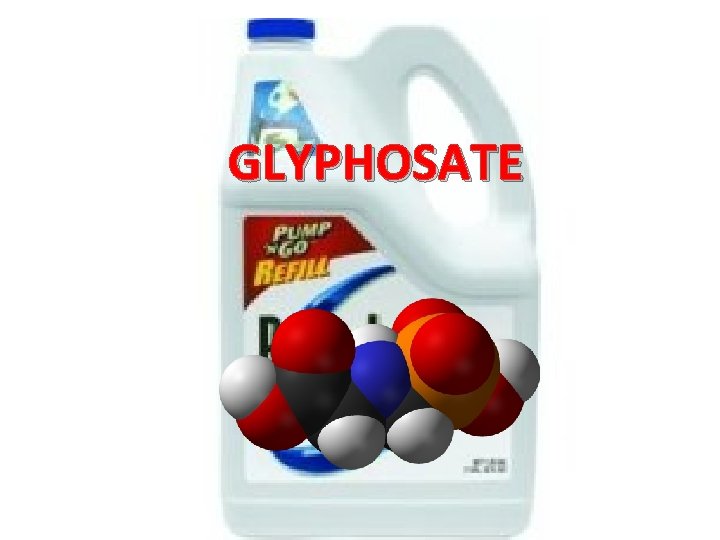 GLYPHOSATE 