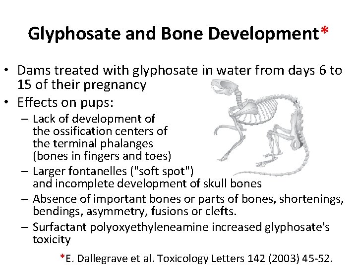 Glyphosate and Bone Development* • Dams treated with glyphosate in water from days 6