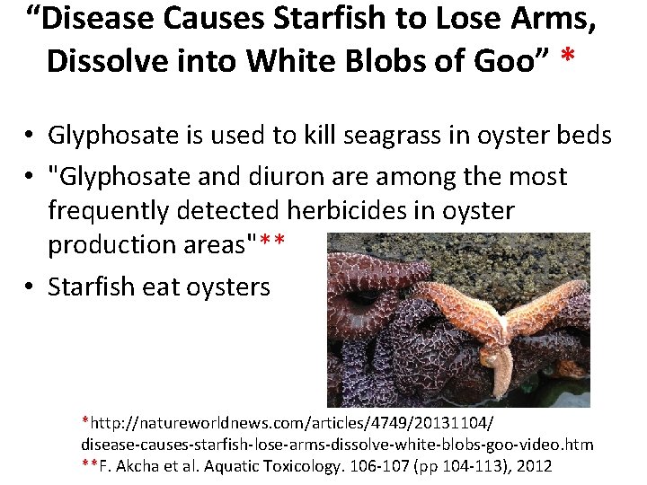 “Disease Causes Starfish to Lose Arms, Dissolve into White Blobs of Goo” * •