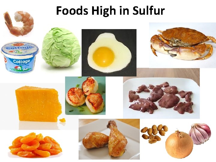 Foods High in Sulfur 