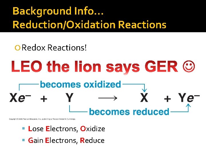 Background Info… Reduction/Oxidation Reactions Redox Reactions! Lose Electrons, Oxidize Gain Electrons, Reduce 