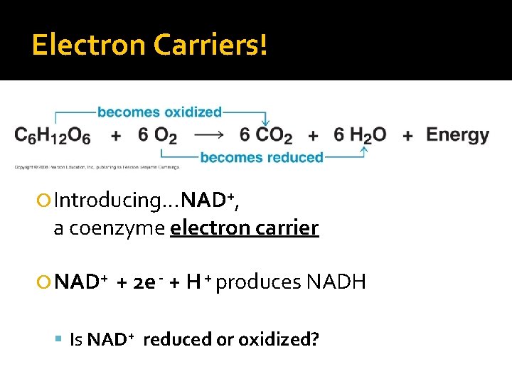 Electron Carriers! Introducing…NAD+, a coenzyme electron carrier NAD+ + 2 e - + H