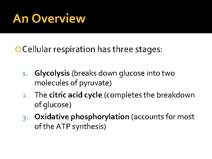 An Overview Cellular respiration has three stages: 1. Glycolysis (breaks down glucose into two