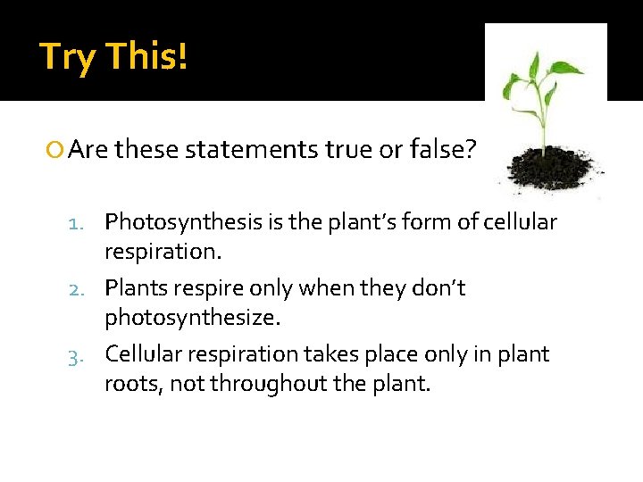 Try This! Are these statements true or false? 1. Photosynthesis is the plant’s form