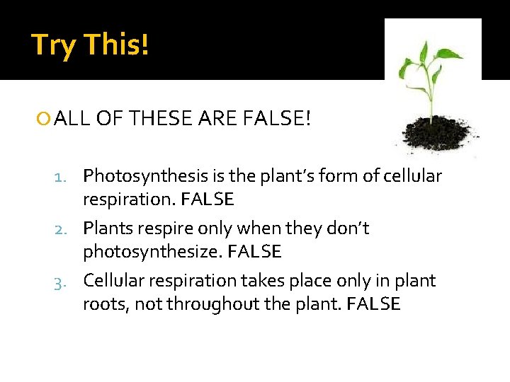 Try This! ALL OF THESE ARE FALSE! 1. Photosynthesis is the plant’s form of