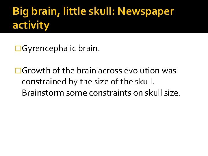 Big brain, little skull: Newspaper activity �Gyrencephalic brain. �Growth of the brain across evolution