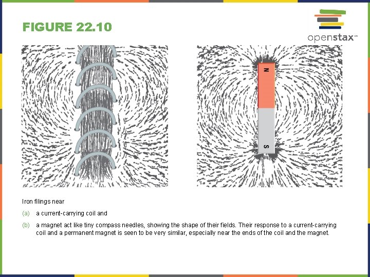 FIGURE 22. 10 Iron filings near (a) a current-carrying coil and (b) a magnet