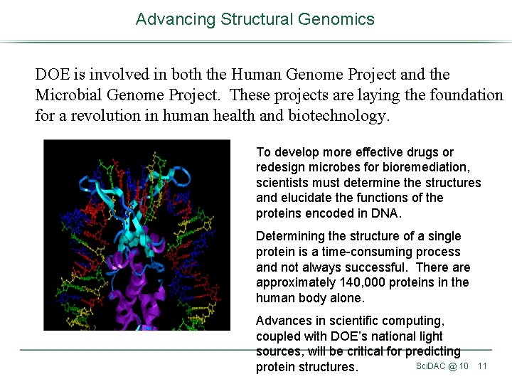 Advancing Structural Genomics DOE is involved in both the Human Genome Project and the