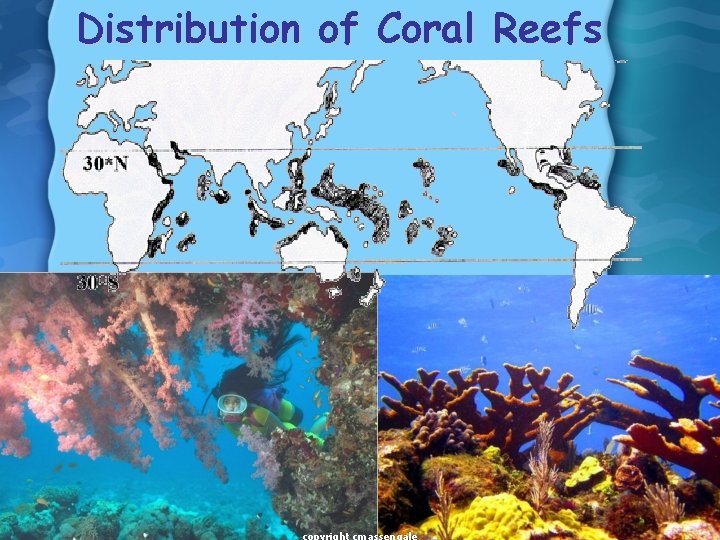 Distribution of Coral Reefs 