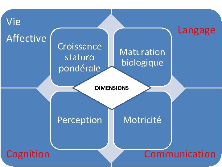 Vie Affective Langage Croissance staturo pondérale Maturation biologique DIMENSIONS Perception Cognition Motricité Communication 