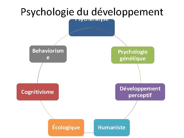 Psychologie Psychanalyse du développement Behaviorism e Cognitivisme Écologique Psychologie génétique Développement perceptif Humaniste 