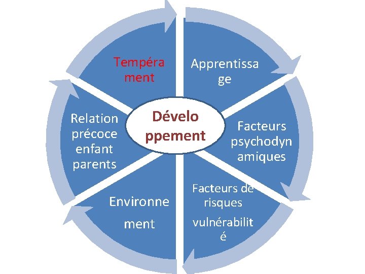 Tempéra ment Relation précoce enfant parents Apprentissa ge Dévelo ppement Environne ment Facteurs psychodyn