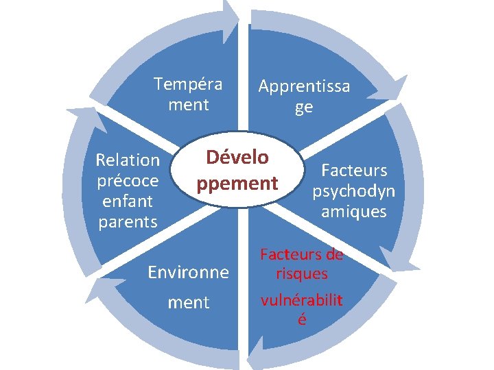 Tempéra ment Relation précoce enfant parents Apprentissa ge Dévelo ppement Environne ment Facteurs psychodyn