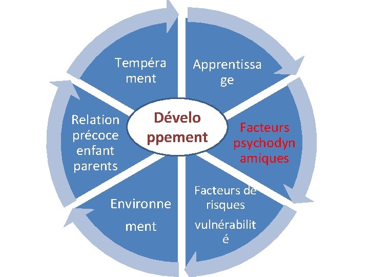 Tempéra ment Relation précoce enfant parents Apprentissa ge Dévelo ppement Environne ment Facteurs psychodyn