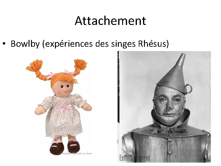 Attachement • Bowlby (expériences des singes Rhésus) 