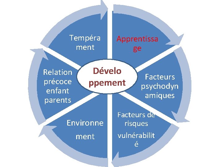 Tempéra ment Relation précoce enfant parents Apprentissa ge Dévelo ppement Environne ment Facteurs psychodyn