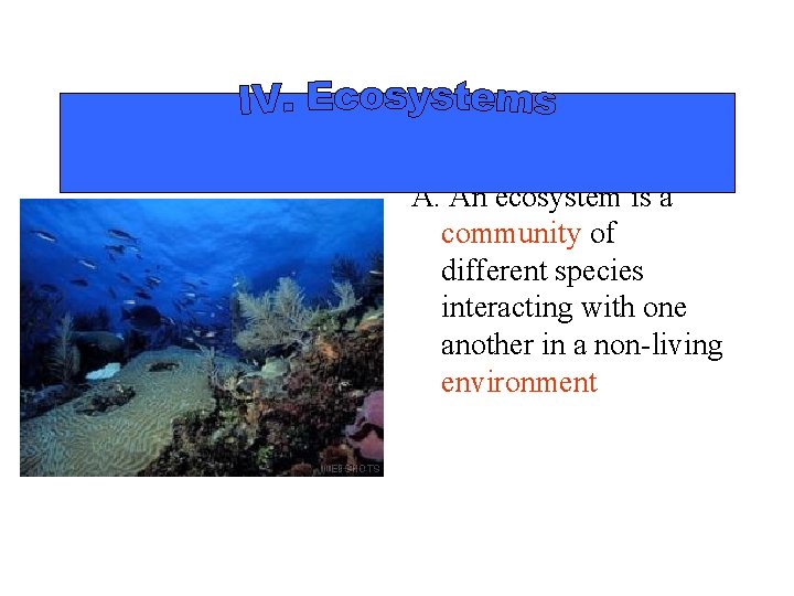 A. An ecosystem is a community of different species interacting with one another in