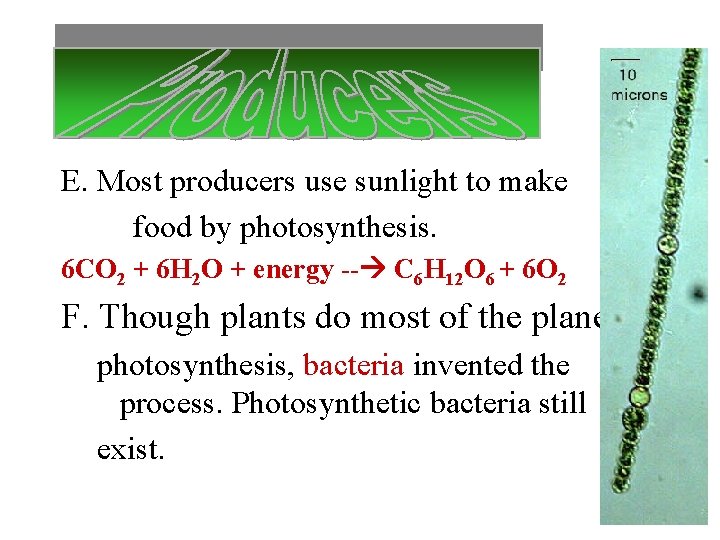 E. Most producers use sunlight to make food by photosynthesis. 6 CO 2 +