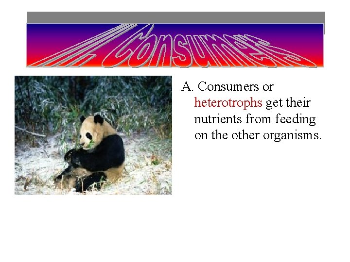 A. Consumers or heterotrophs get their nutrients from feeding on the other organisms. 