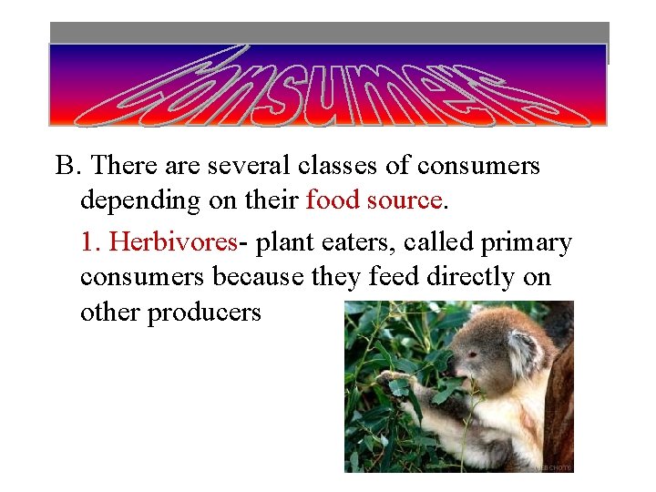 B. There are several classes of consumers depending on their food source. 1. Herbivores-