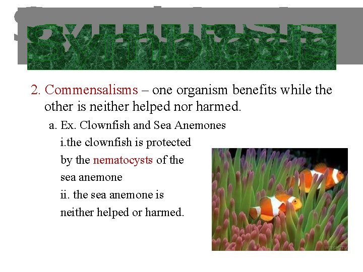 2. Commensalisms – one organism benefits while the other is neither helped nor harmed.