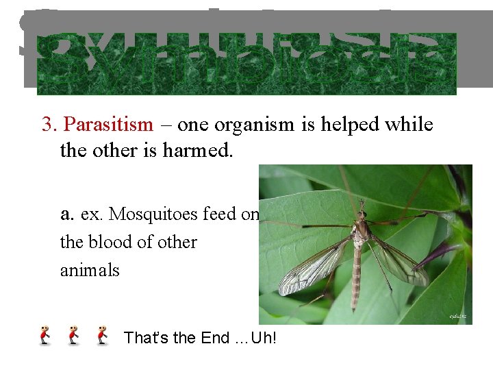 3. Parasitism – one organism is helped while the other is harmed. a. ex.